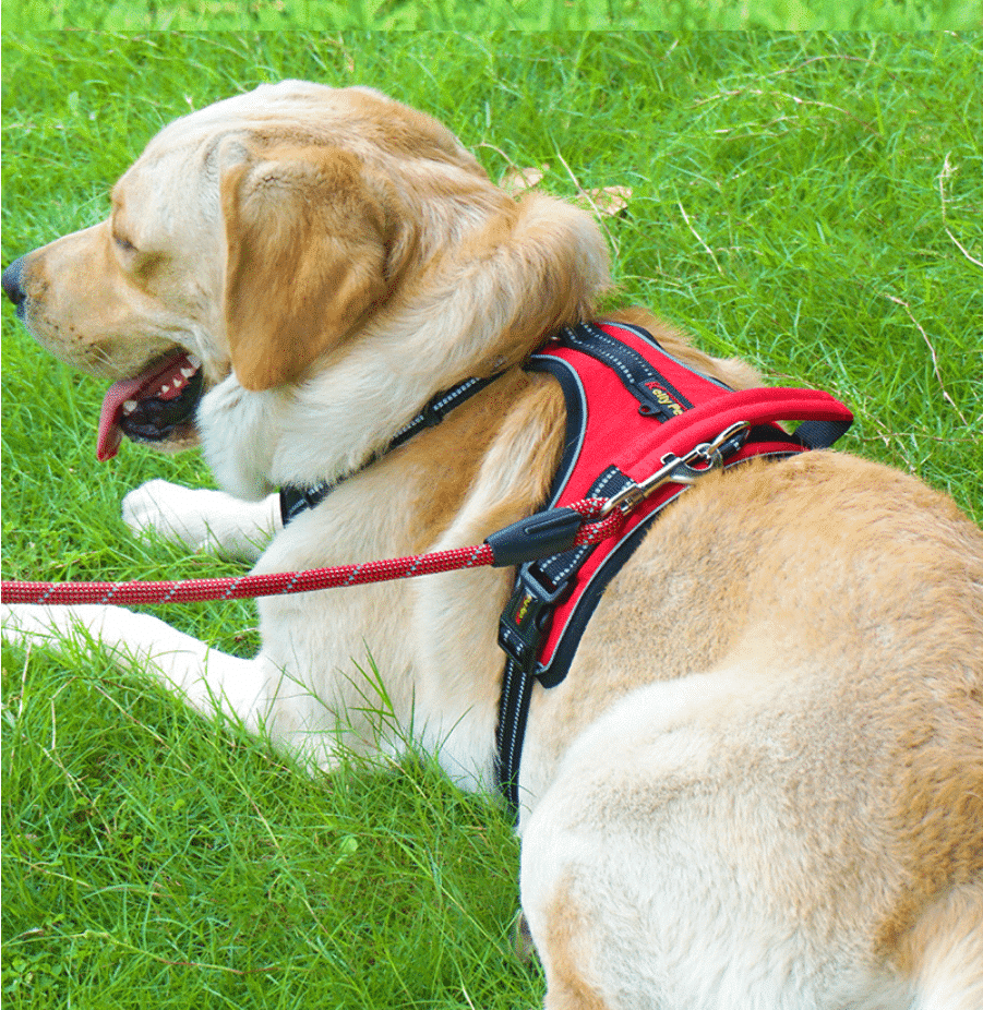 Soft Luxury Dog Harness with Reflectors - Durable & Waterproof - Red, Black or Blue