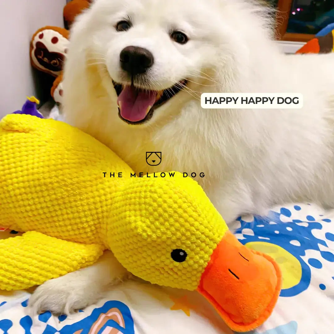 Soothing Duck - For the Happiness and Well-being of Your Dog