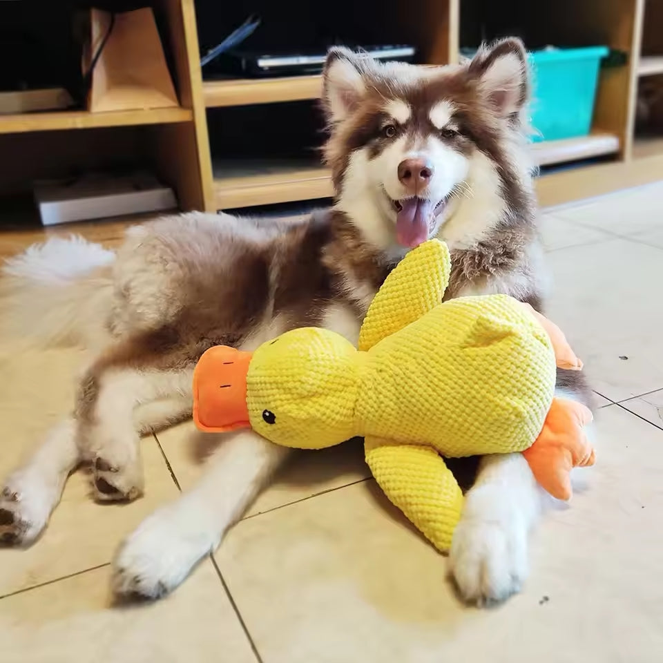 Soothing Duck - For the Happiness and Well-being of Your Dog