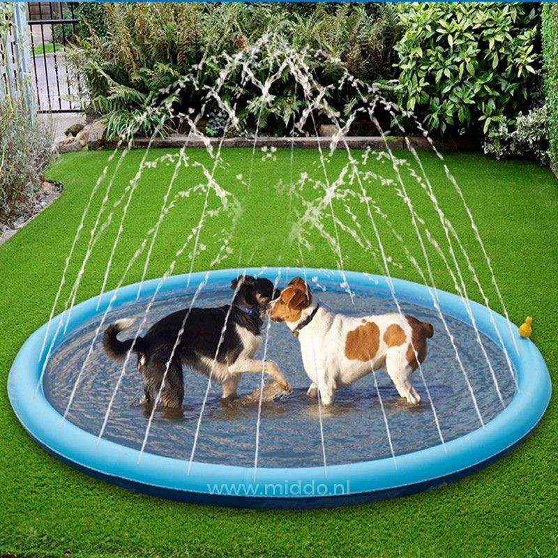 SplashZone™: Refreshing Water Fun for Kids and Pets!