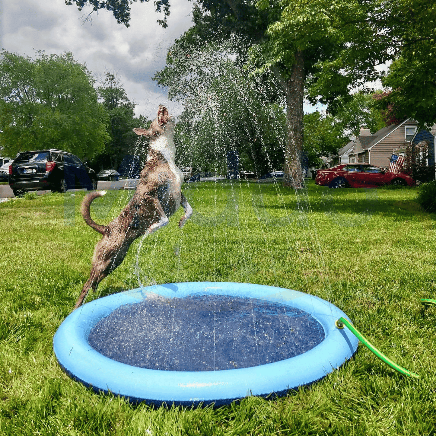 SplashZone™: Refreshing Water Fun for Kids and Pets!