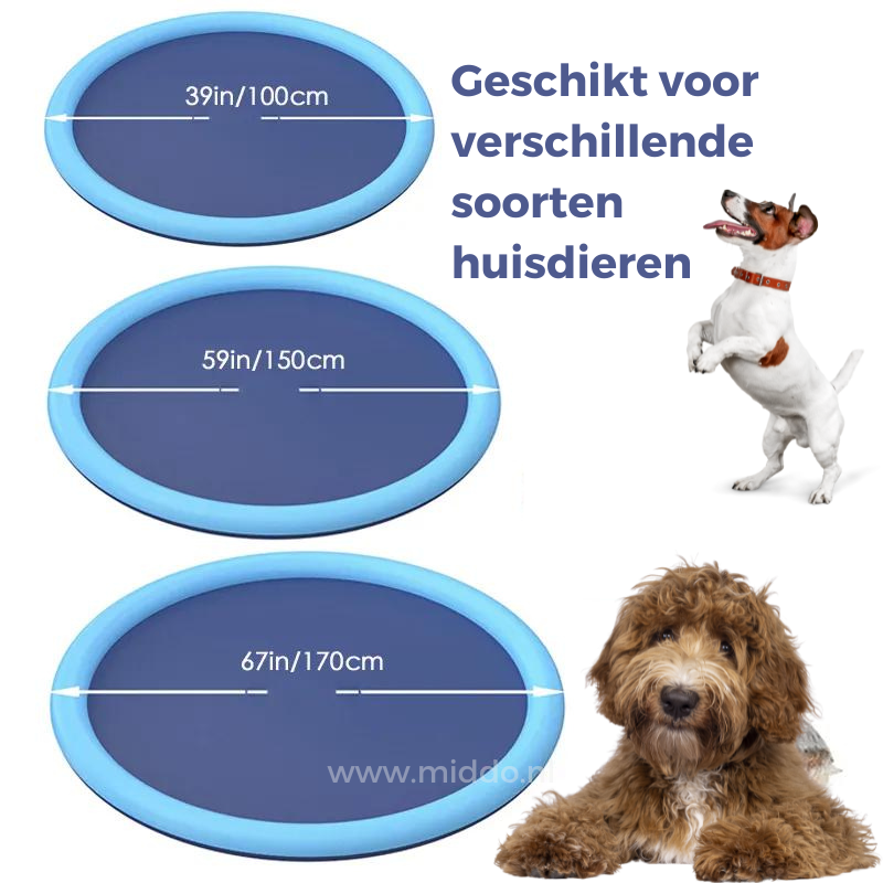 SplashZone™: Refreshing Water Fun for Kids and Pets!