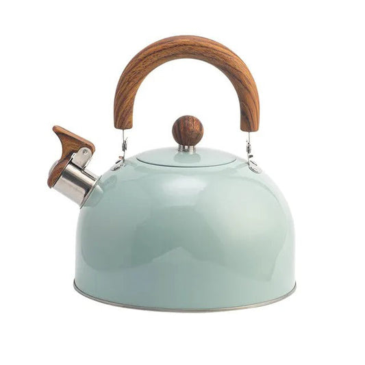 Stainless Steel Whistling Kettle with Insulated Handle