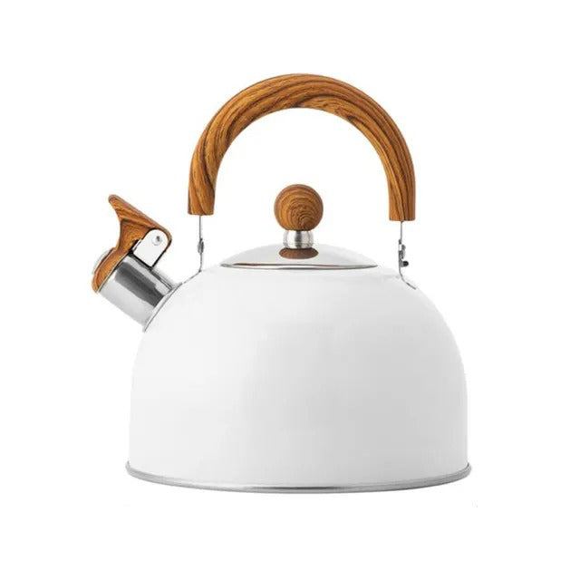 Stainless Steel Whistling Kettle with Insulated Handle