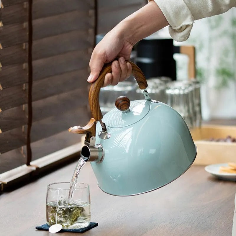 Stainless Steel Whistling Kettle with Insulated Handle