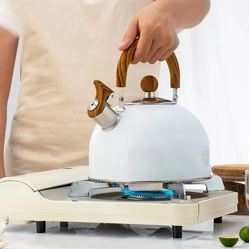 Stainless Steel Whistling Kettle with Insulated Handle