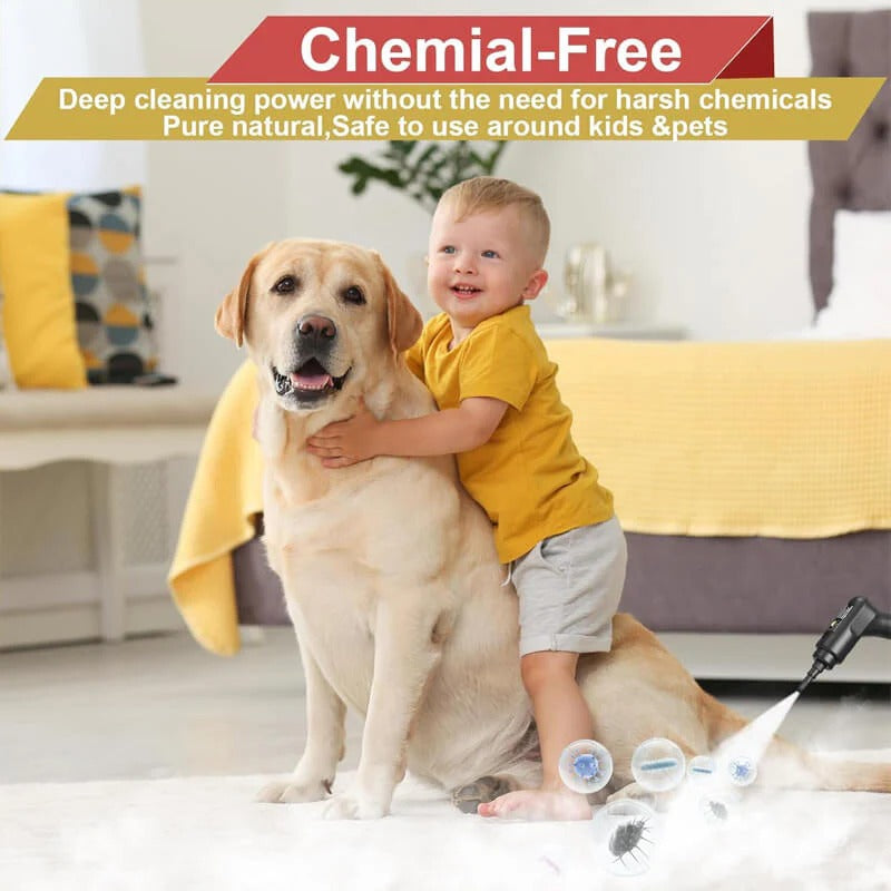 SteamForce | 2500W High-Pressure Steam Cleaner with Gloves