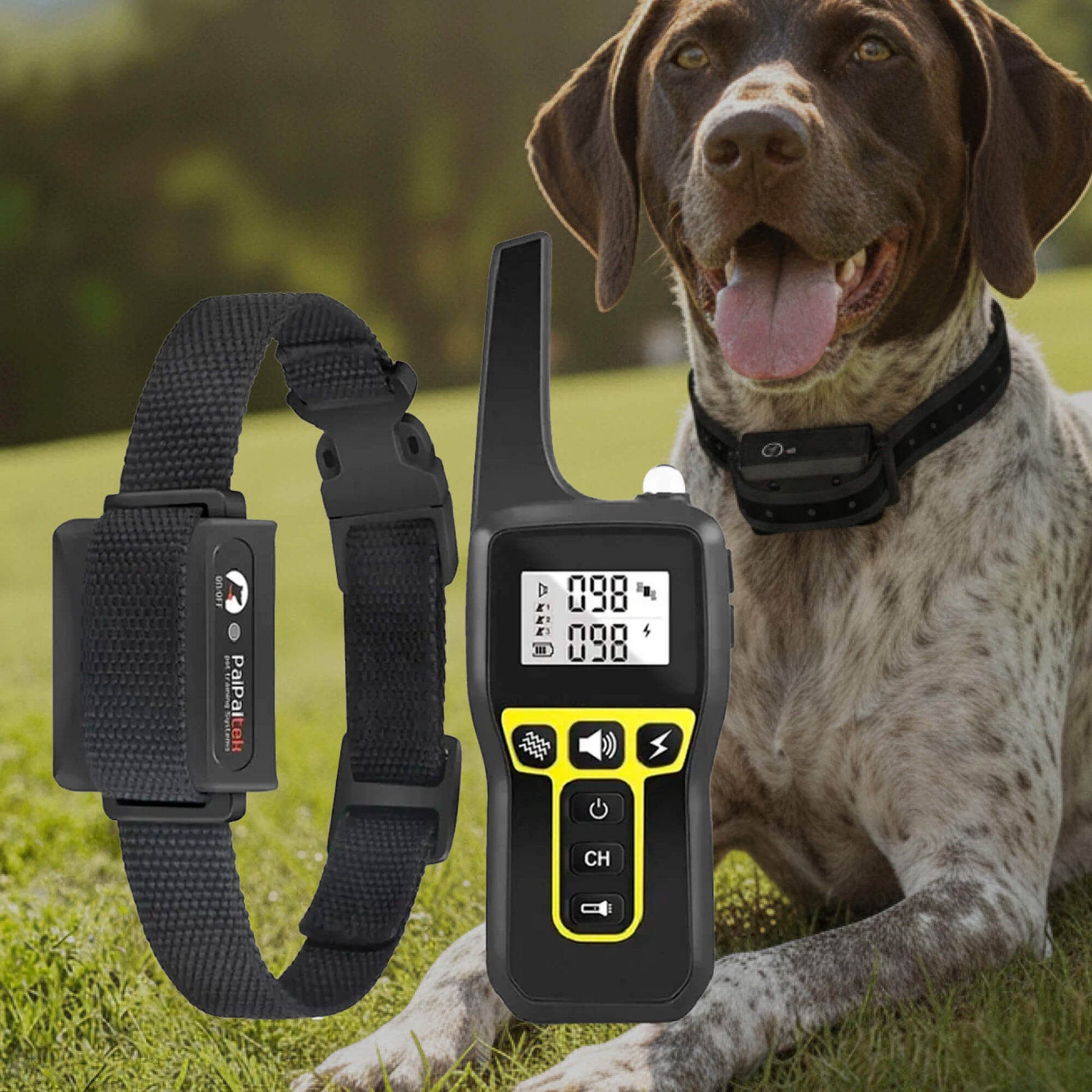 SusanSmith | 1000m Waterproof Dog Training Collar | Rechargeable, Remote Control & Adjustable for Small, Medium, and Large Dogs