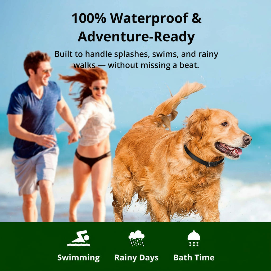 SusanSmith | 1000m Waterproof Dog Training Collar | Rechargeable, Remote Control & Adjustable for Small, Medium, and Large Dogs