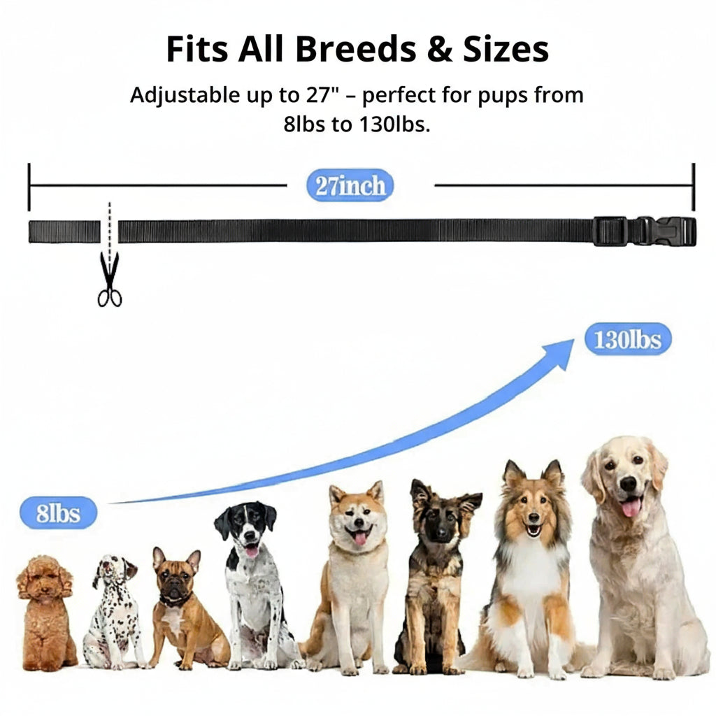 SusanSmith | 1000m Waterproof Dog Training Collar | Rechargeable, Remote Control & Adjustable for Small, Medium, and Large Dogs