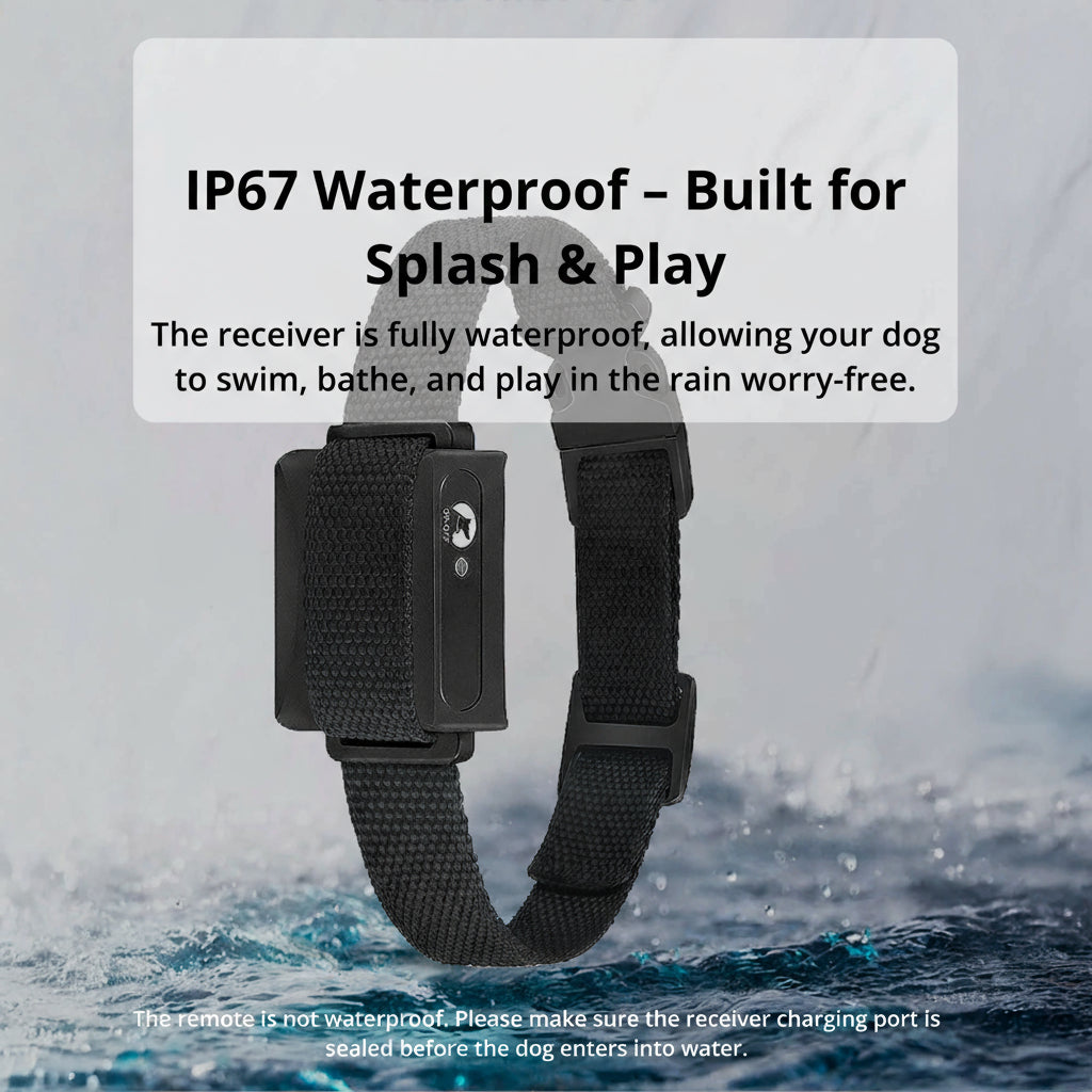 SusanSmith | 1000m Waterproof Dog Training Collar | Rechargeable, Remote Control & Adjustable for Small, Medium, and Large Dogs