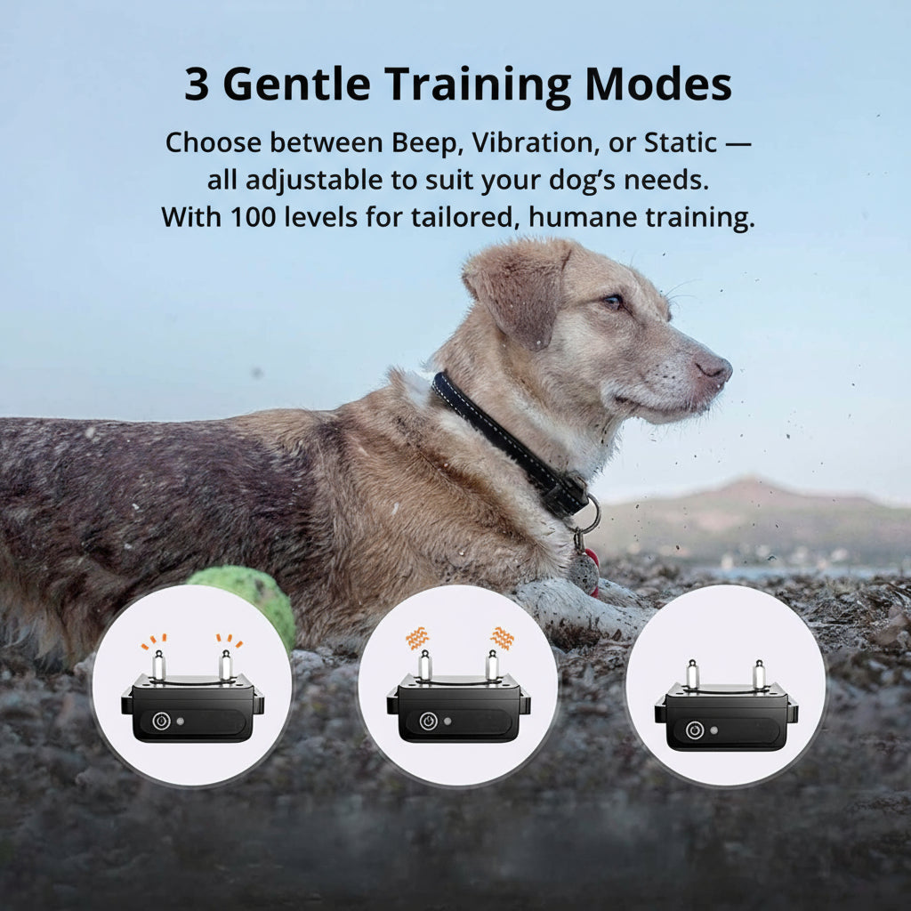 SusanSmith | 1000m Waterproof Dog Training Collar | Rechargeable, Remote Control & Adjustable for Small, Medium, and Large Dogs