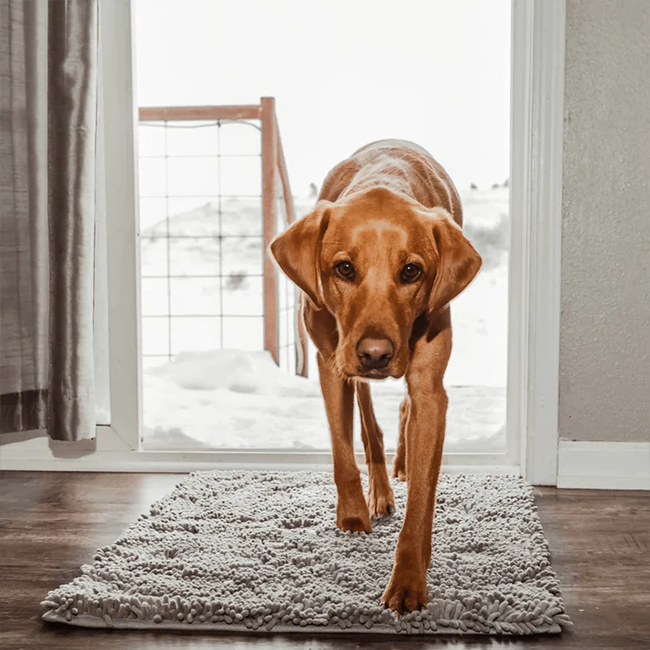 SusanSmith™ Dog Mat