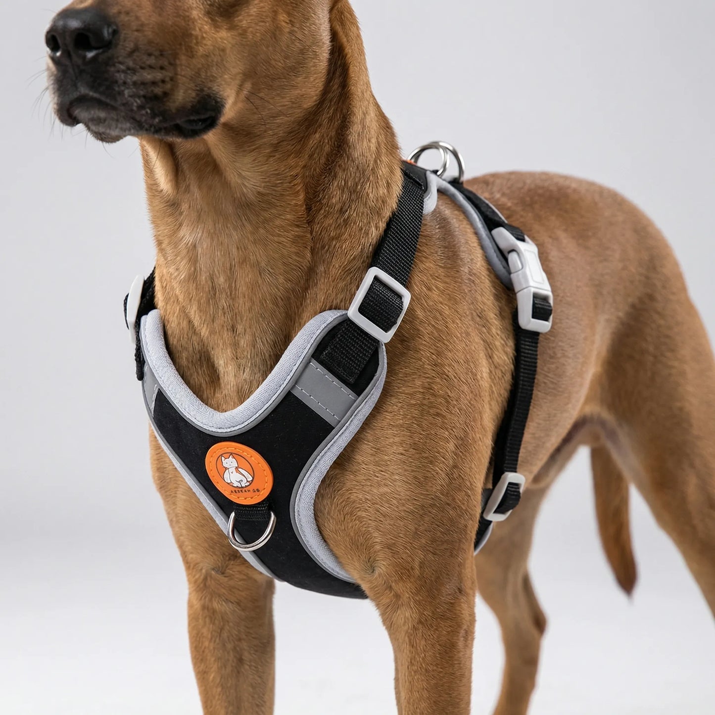 SusanSmith | Furloop Adjustable Vest-Style Dog Harness