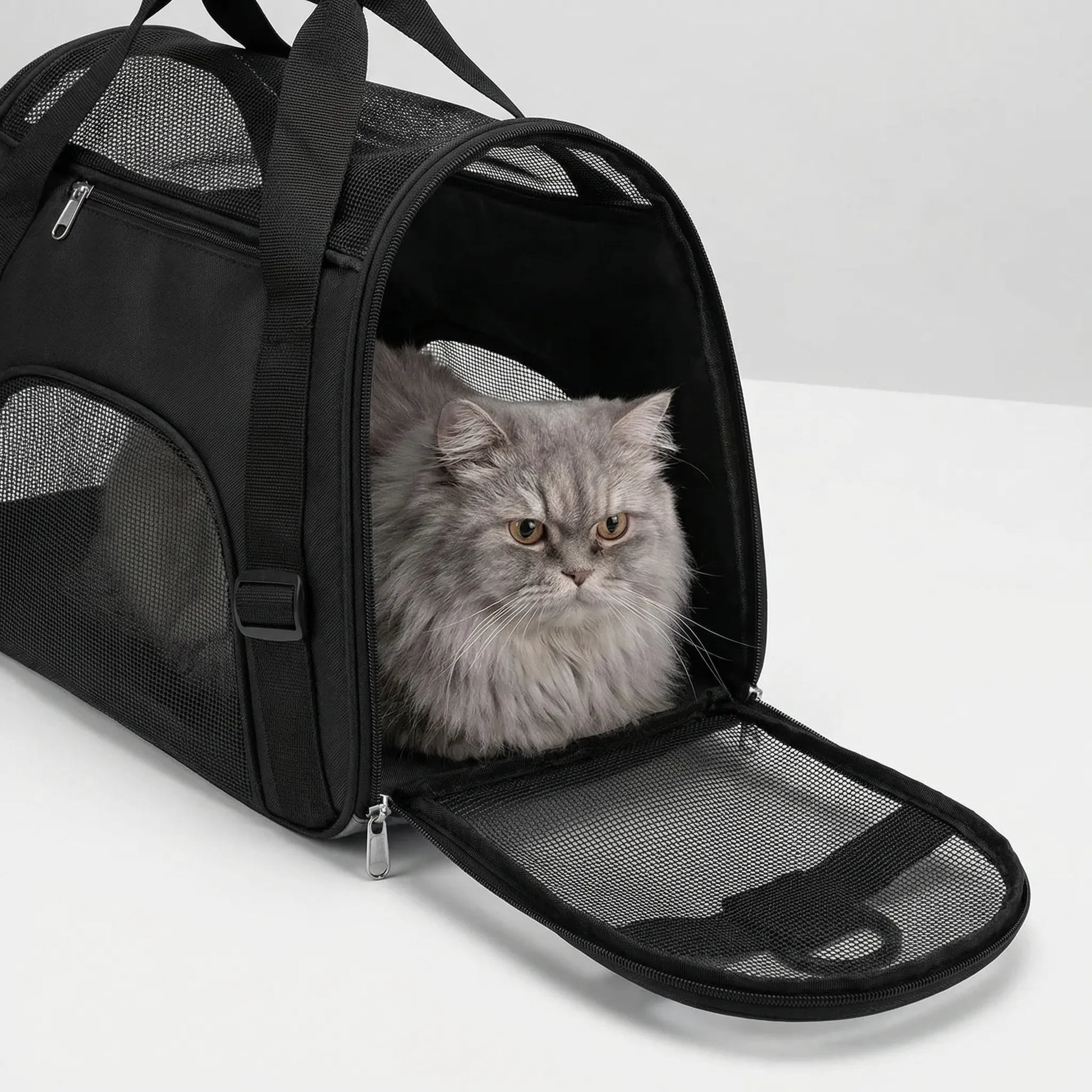 SusanSmith | Furroam Foldable Mesh Pet Carrier Bag