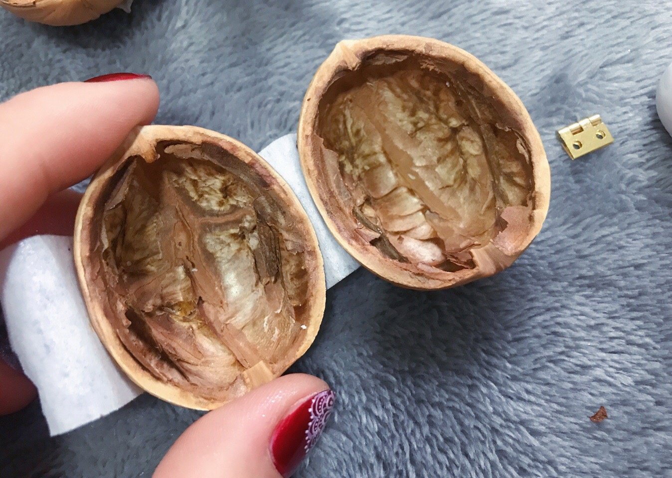 SusanSmith | Handmade Walnut Shell Doll House - Mini Library, Tiny World Inside Walnuts