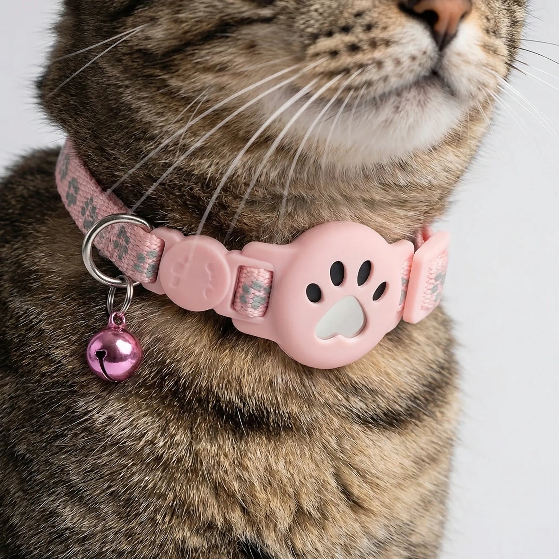 SusanSmith | Pawtrackr GPS-Enabled Adjustable Pet Collar