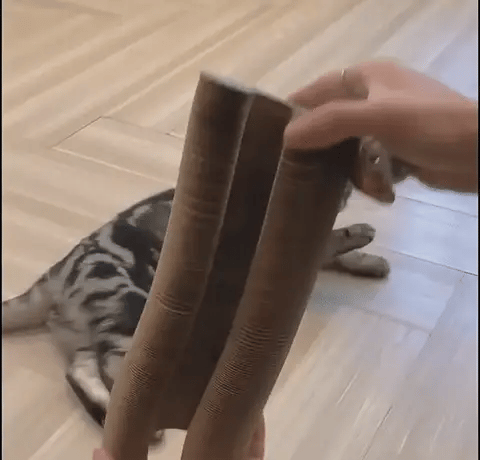 The Cat Scratcher™ | Scratching and Playing for Every Cat