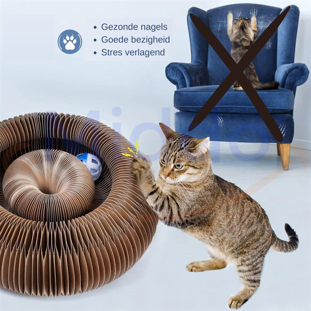 The Cat Scratcher™ | Scratching and Playing for Every Cat