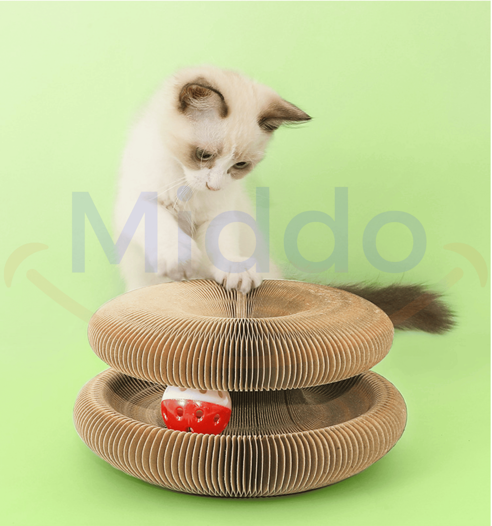 The Cat Scratcher™ | Scratching and Playing for Every Cat
