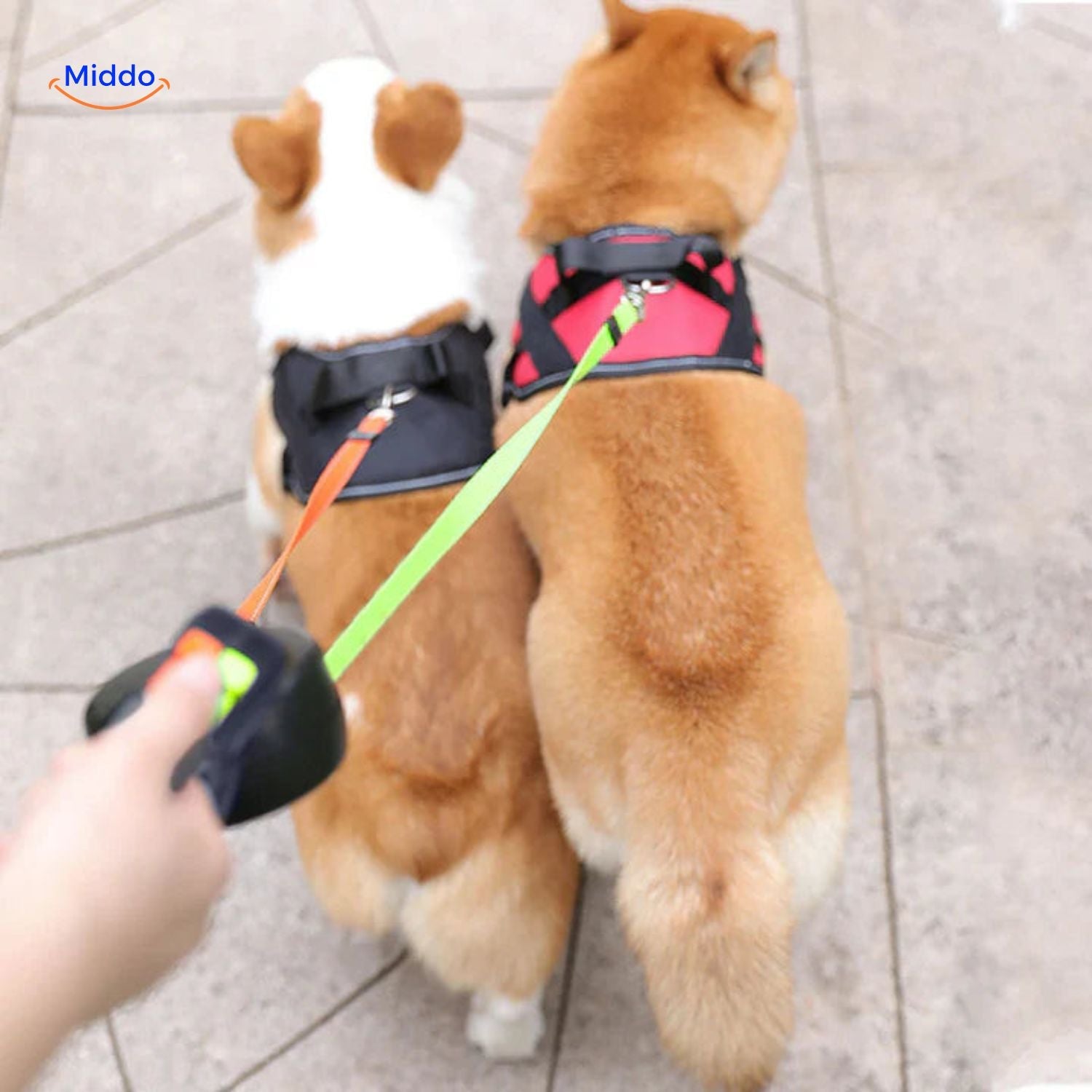 Twintails™ Easywalk | 2-in-1 Retractable Leash for Small and Medium Dogs