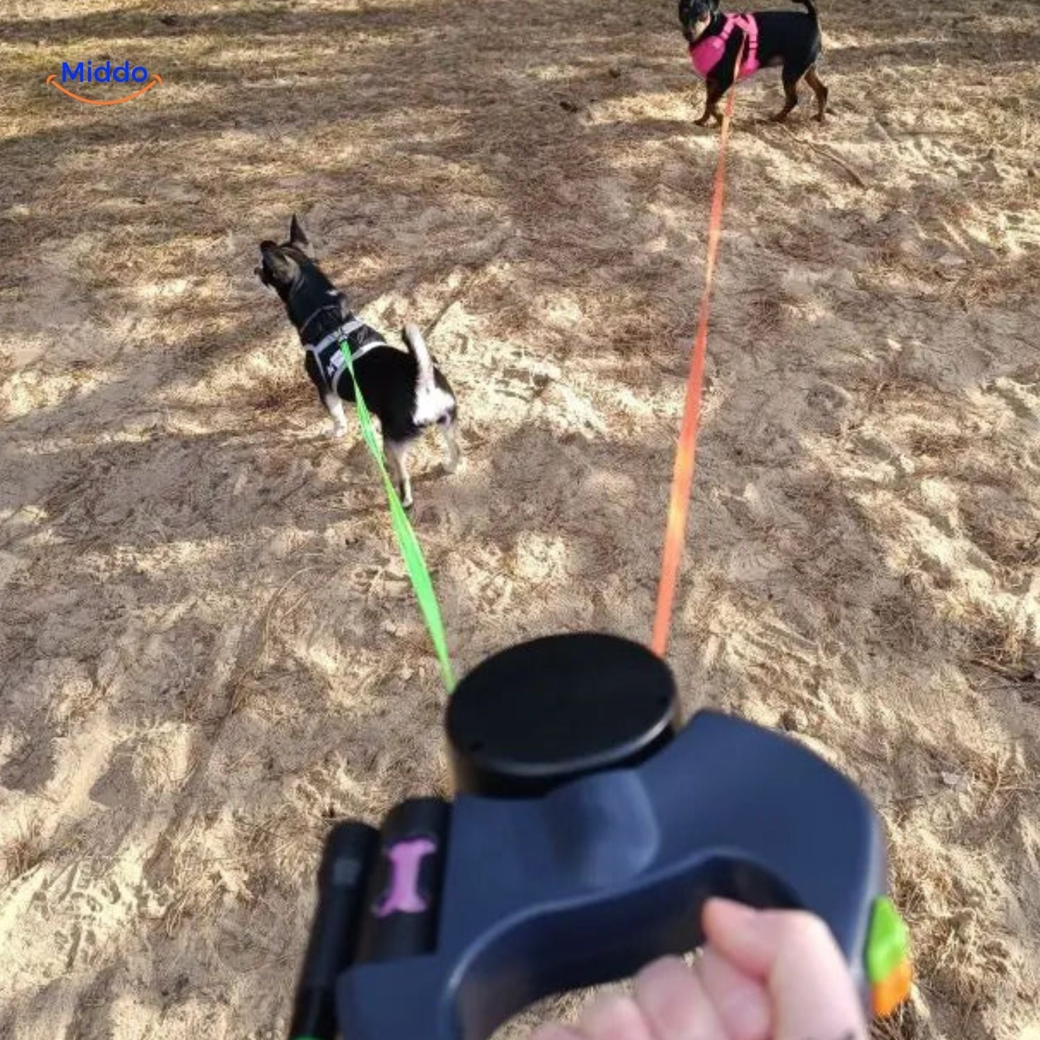Twintails™ Easywalk | 2-in-1 Retractable Leash for Small and Medium Dogs