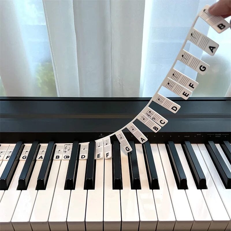 Universal Piano Keyboard Note Labels for Beginners