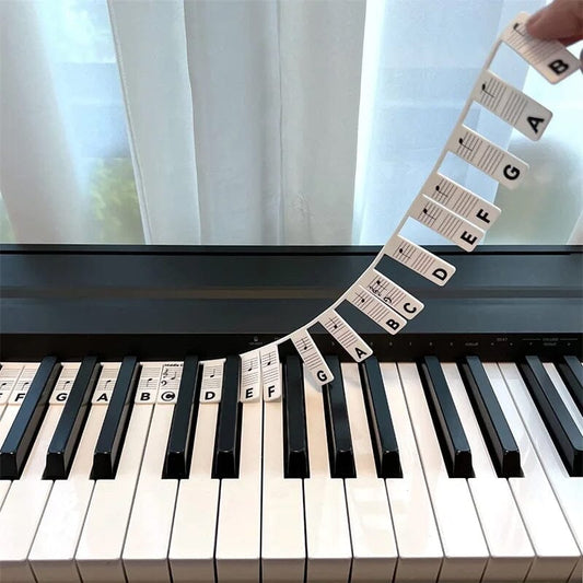 Universal Piano Keyboard Note Labels for Beginners