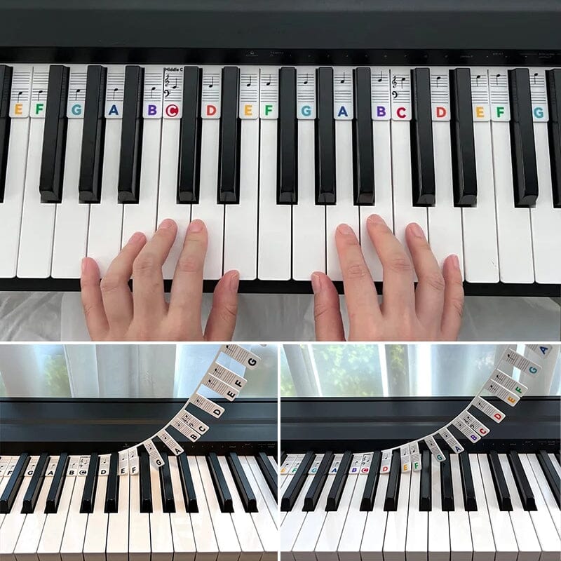 Universal Piano Keyboard Note Labels for Beginners