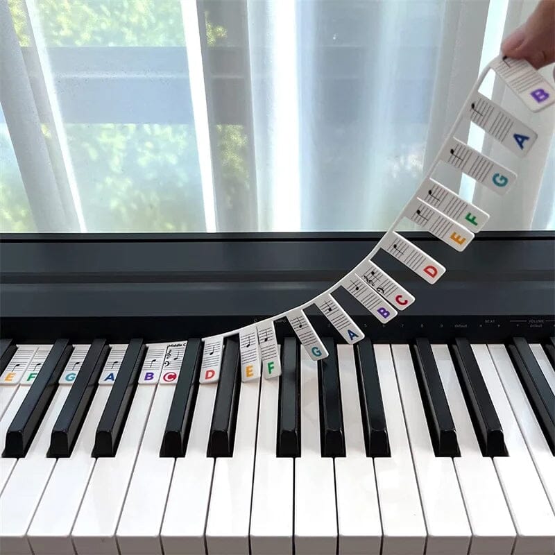 Universal Piano Keyboard Note Labels for Beginners