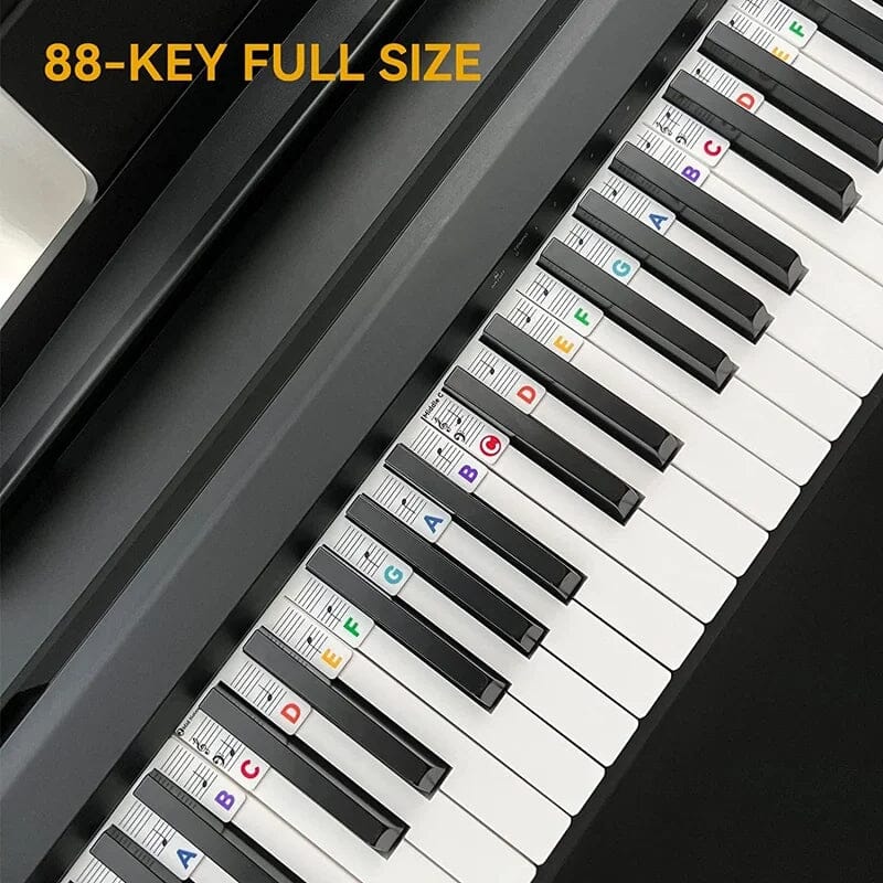 Universal Piano Keyboard Note Labels for Beginners