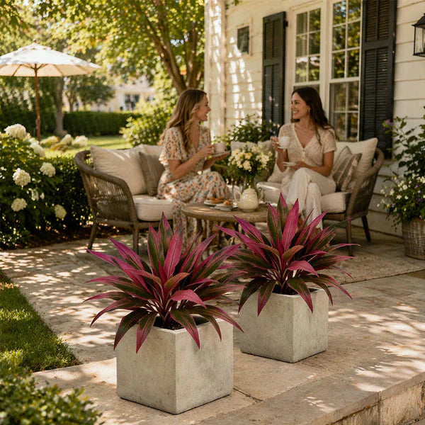 Verdara™ – Vibrant Faux Cordyline Plant Set