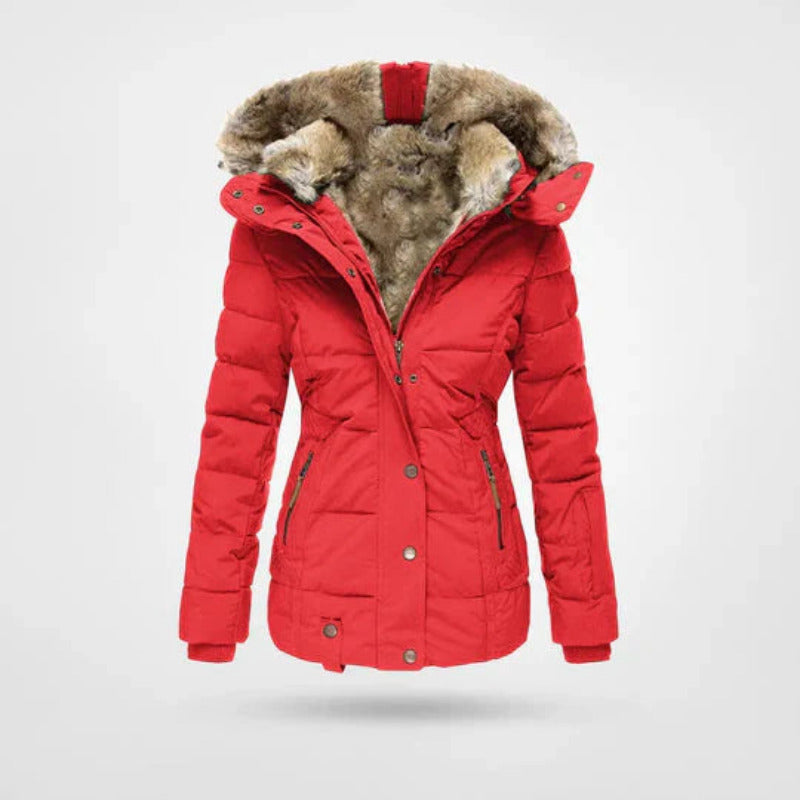 Women's Winter Jacket | Lined Hood & Double Closure