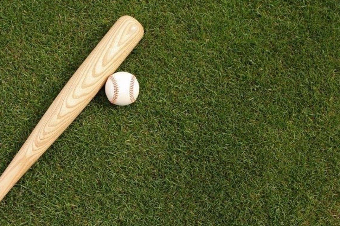 Wooden Baseball Bat including Ball